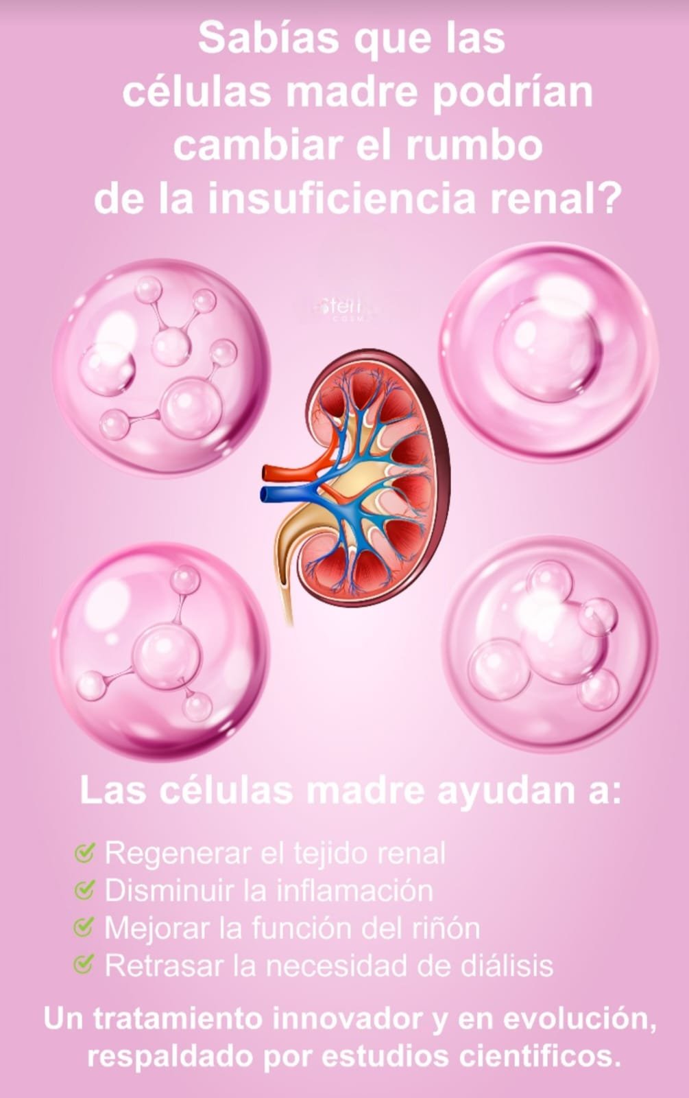 Transplante Células Madre